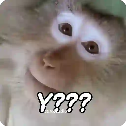 stickers_Monos_groseros_pal_chat_🐒🐵