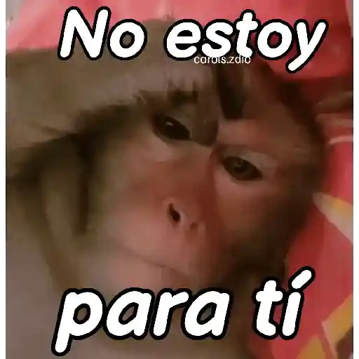 stickers_Monos_groseros_pal_chat_🐒🐵