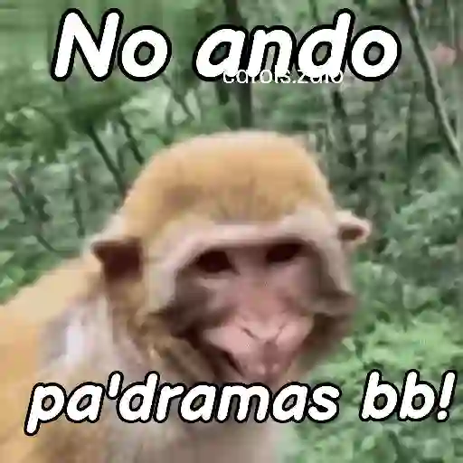 stickers_Monos_groseros_pal_chat_🐒🐵
