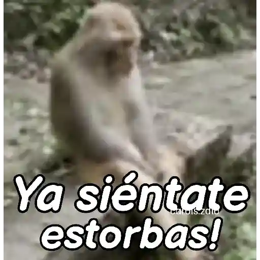 stickers_Monos_groseros_pal_chat_🐒🐵