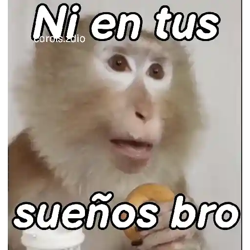 stickers_Monos_groseros_pal_chat_🐒🐵