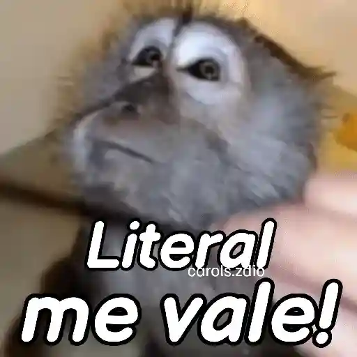 stickers_Monos_groseros_pal_chat_🐒🐵