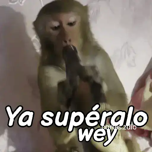 stickers_Monos_groseros_pal_chat_🐒🐵