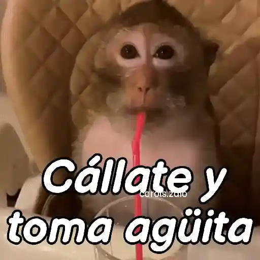 stickers_Monos_groseros_pal_chat_🐒🐵