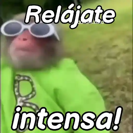 stickers_Monos_groseros_pal_chat_🐒🐵