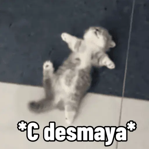 stickers_😼_GATOS_CON_FRASES_😼