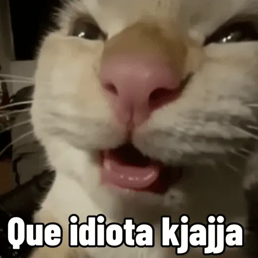 stickers_😼_GATOS_CON_FRASES_😼