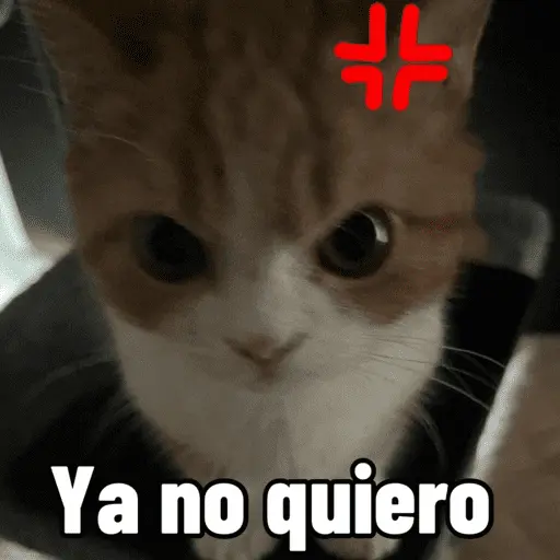 stickers_😼_GATOS_CON_FRASES_😼