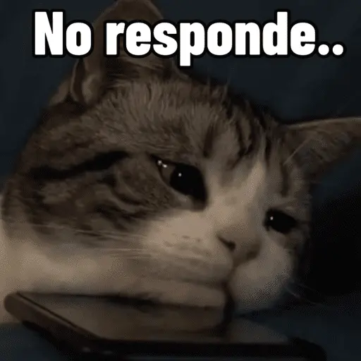 stickers_😼_GATOS_CON_FRASES_😼
