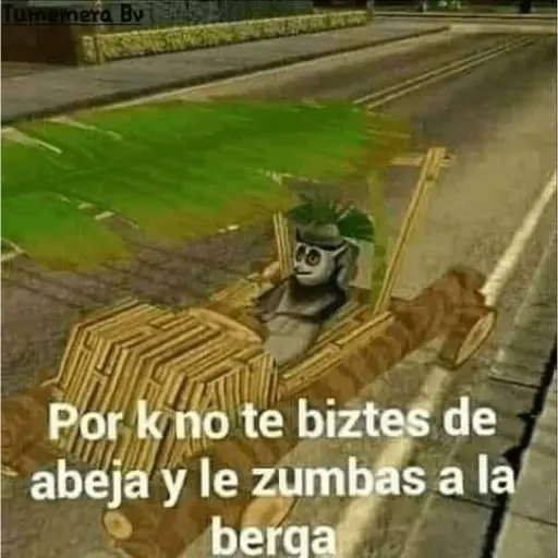 stickers_Chavo_del_ocho_sin_contexto_😩☝🏻