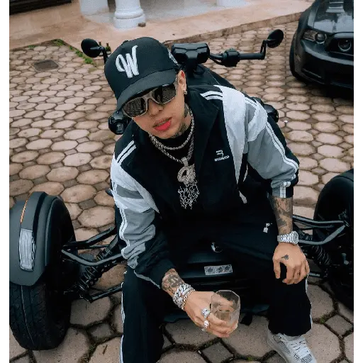 stickers_Westcol_✨📹▶️