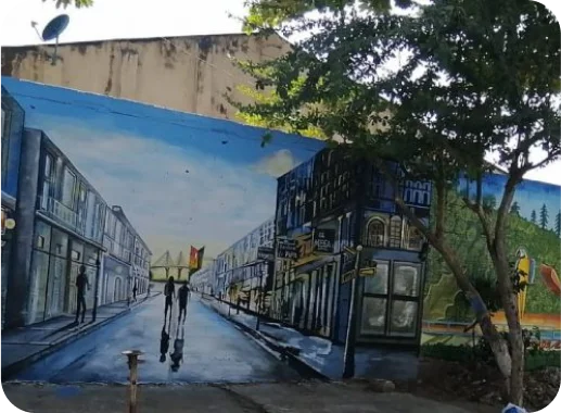 unsplash_bzqU01v-G54 (2)