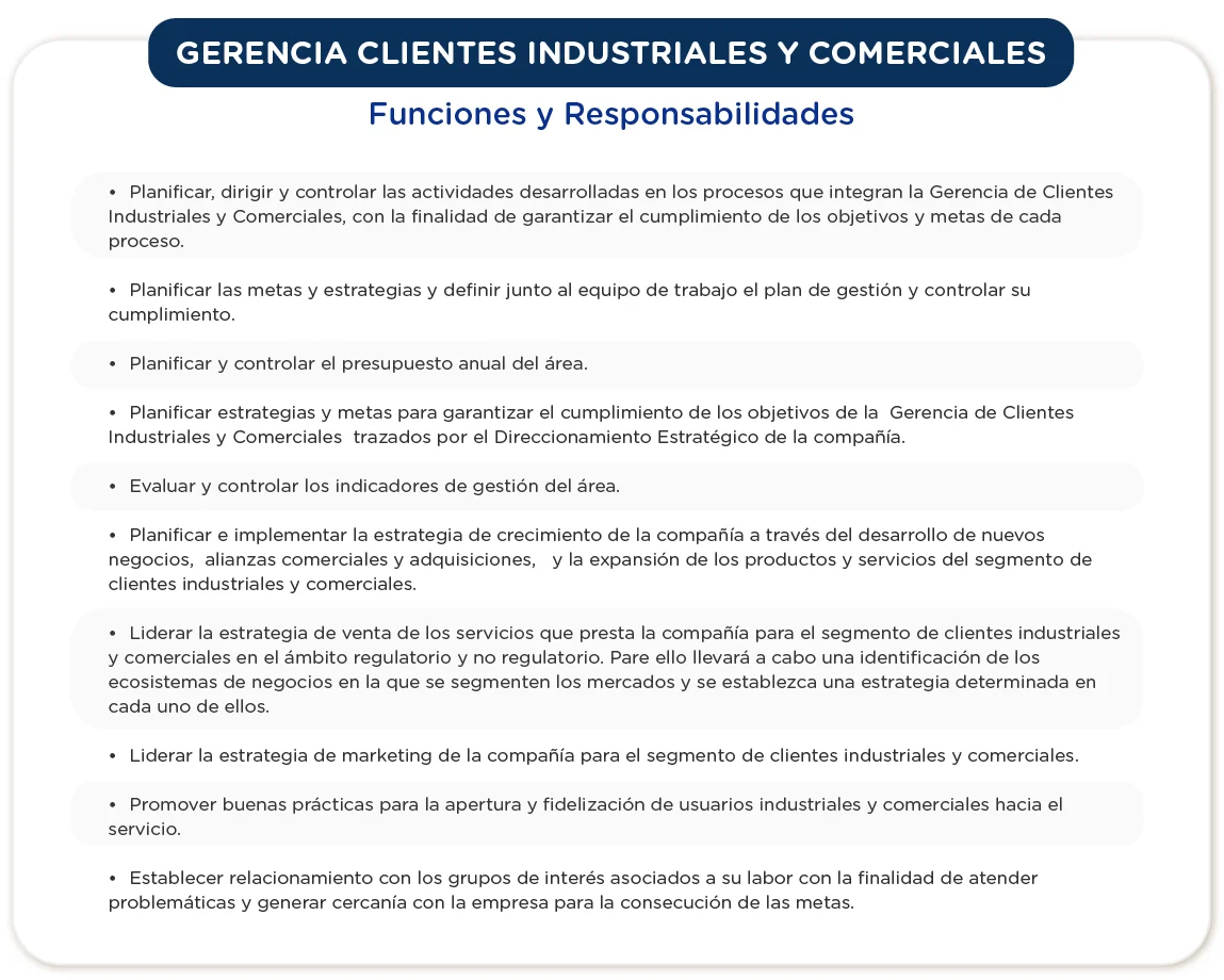 Gerencia clientes industriales - 2