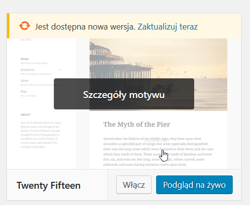 wordpress szczegóły motywu