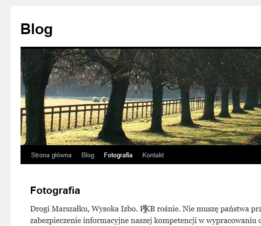 wordpress opublikowana strona 