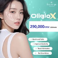 韓国のオリジオX料金：290,000ウォン