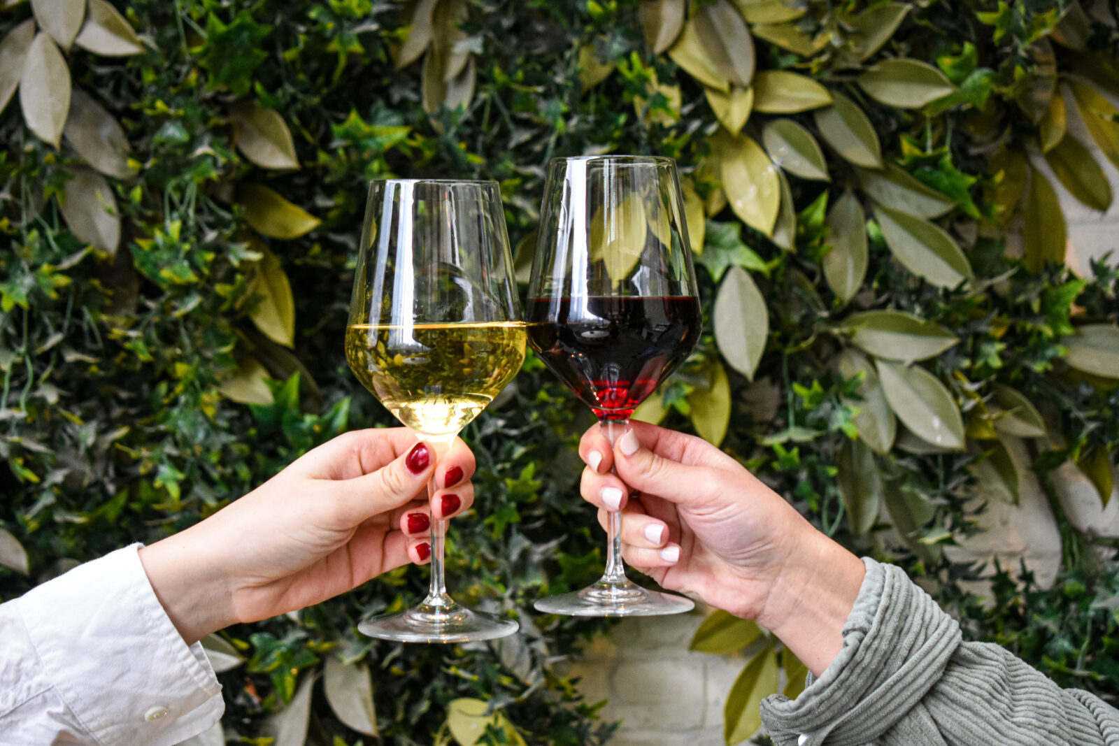 Photo of wine glasses by a green wall