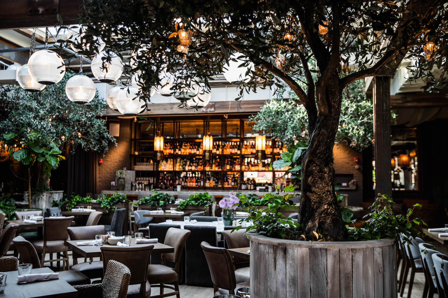 interior photo of the main dining room at aba show casing the trees inside