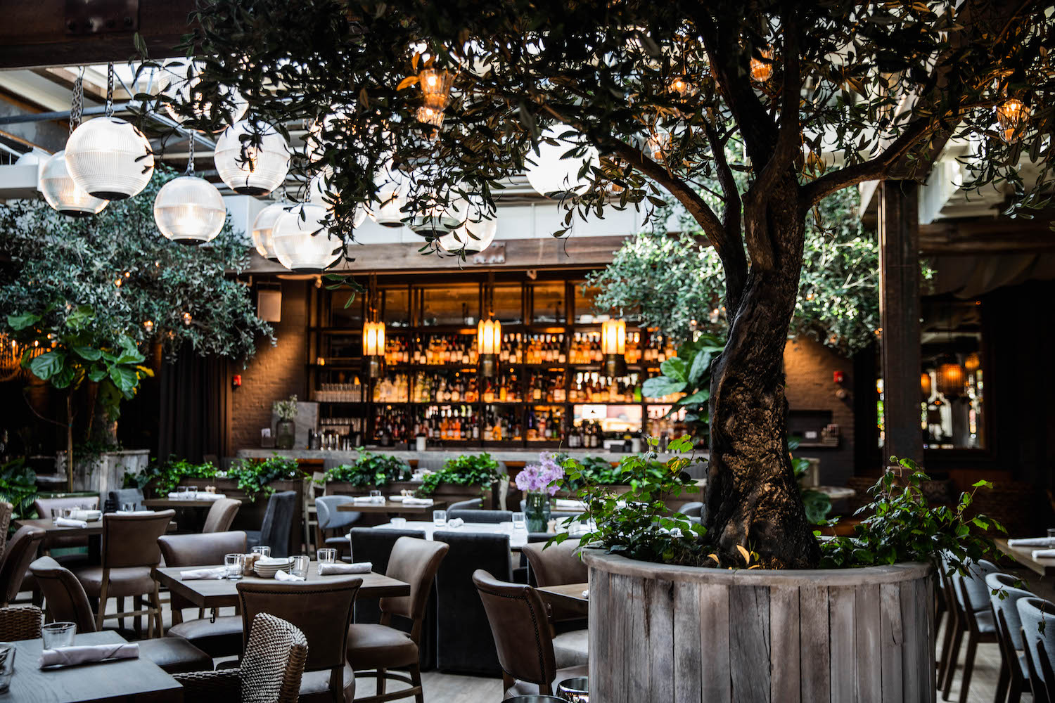 Interior photo of the main dining room and the tress growing inside 