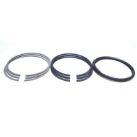 あるす Anel Segmento Vw 1.0 3cc Std - A515 STD | Auto Brasil