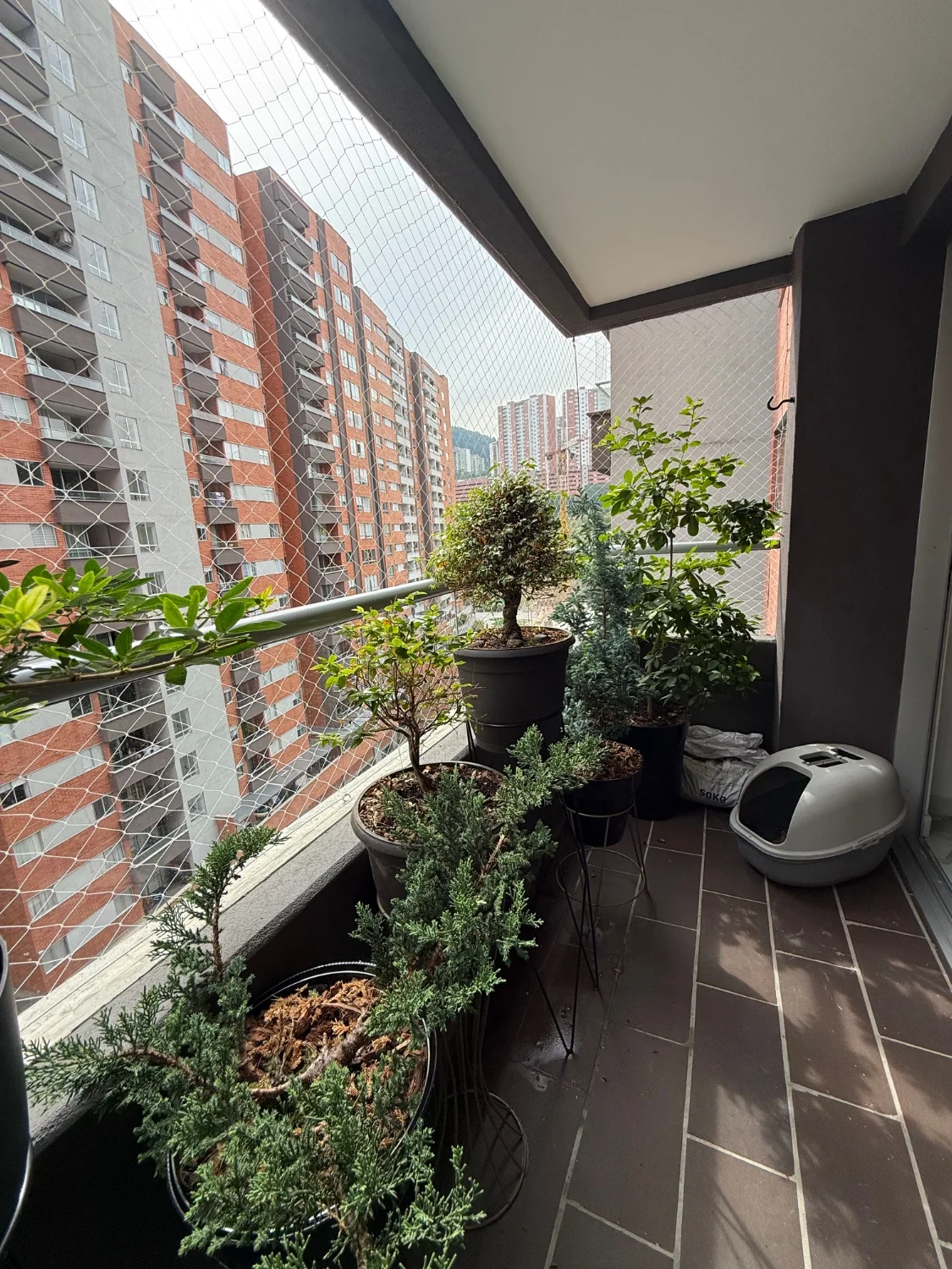 Hermoso apartamento Remodelado