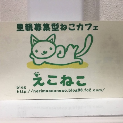 えこねこ里親募集型猫カフェ/ Cat Cafe “EKO NEKO”