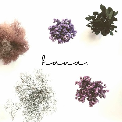 hana.
