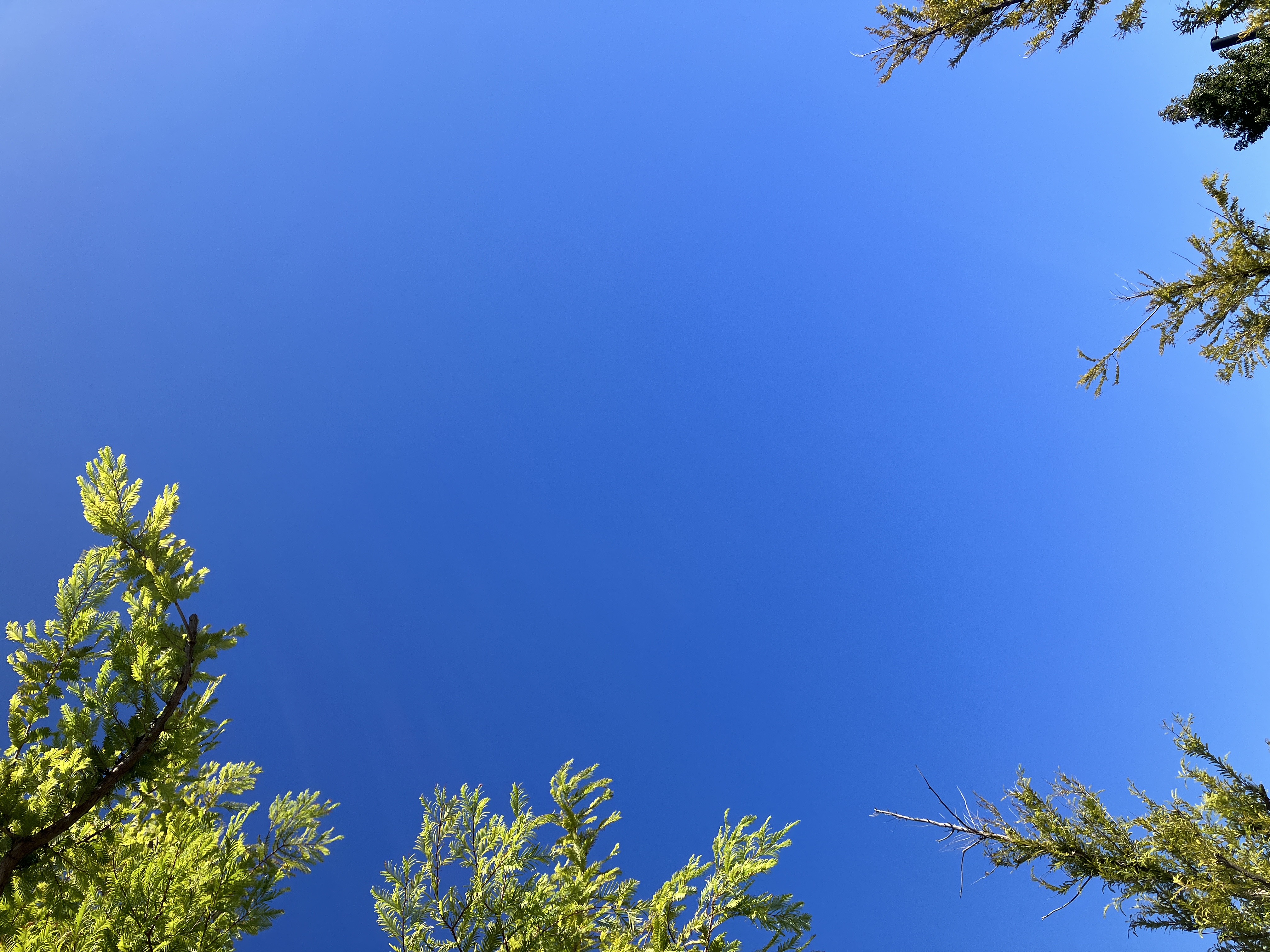 ある秋の晴れた空