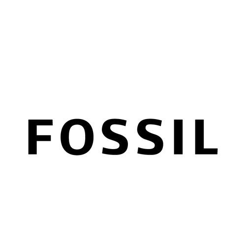 Fossil Việt Nam