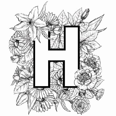 HANERA HQ X SEROJA.BABYBLISS