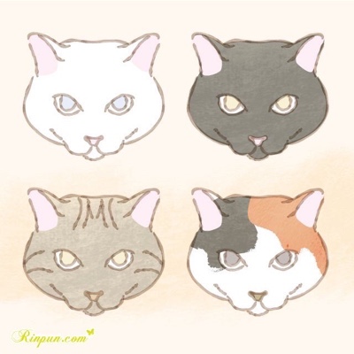 cat! cat! cat! cat!