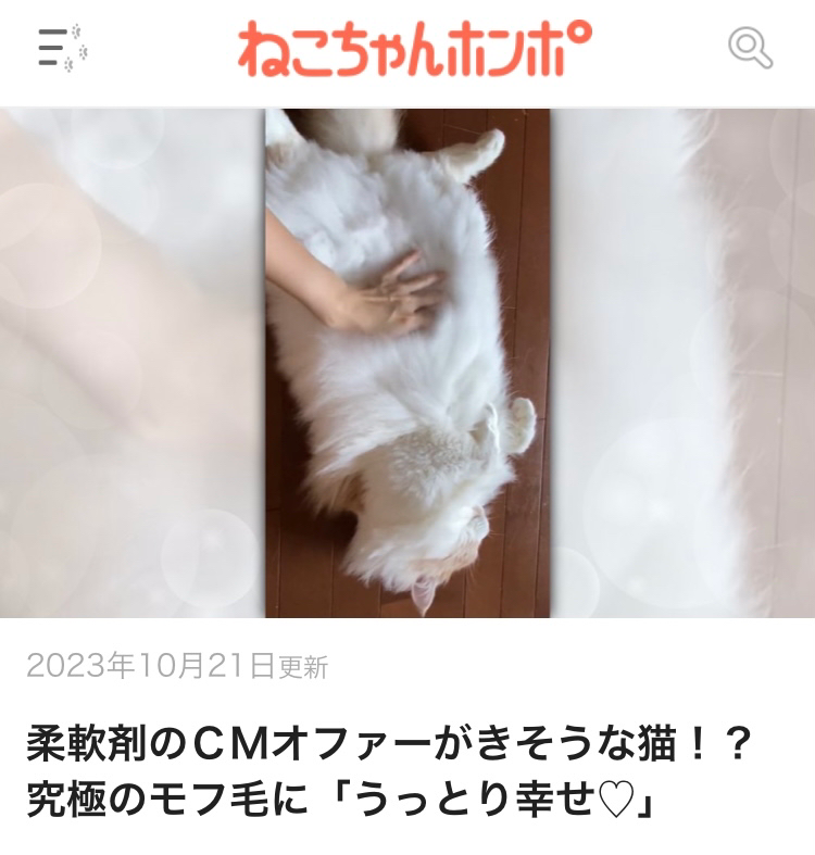 ねこちゃんホンポ