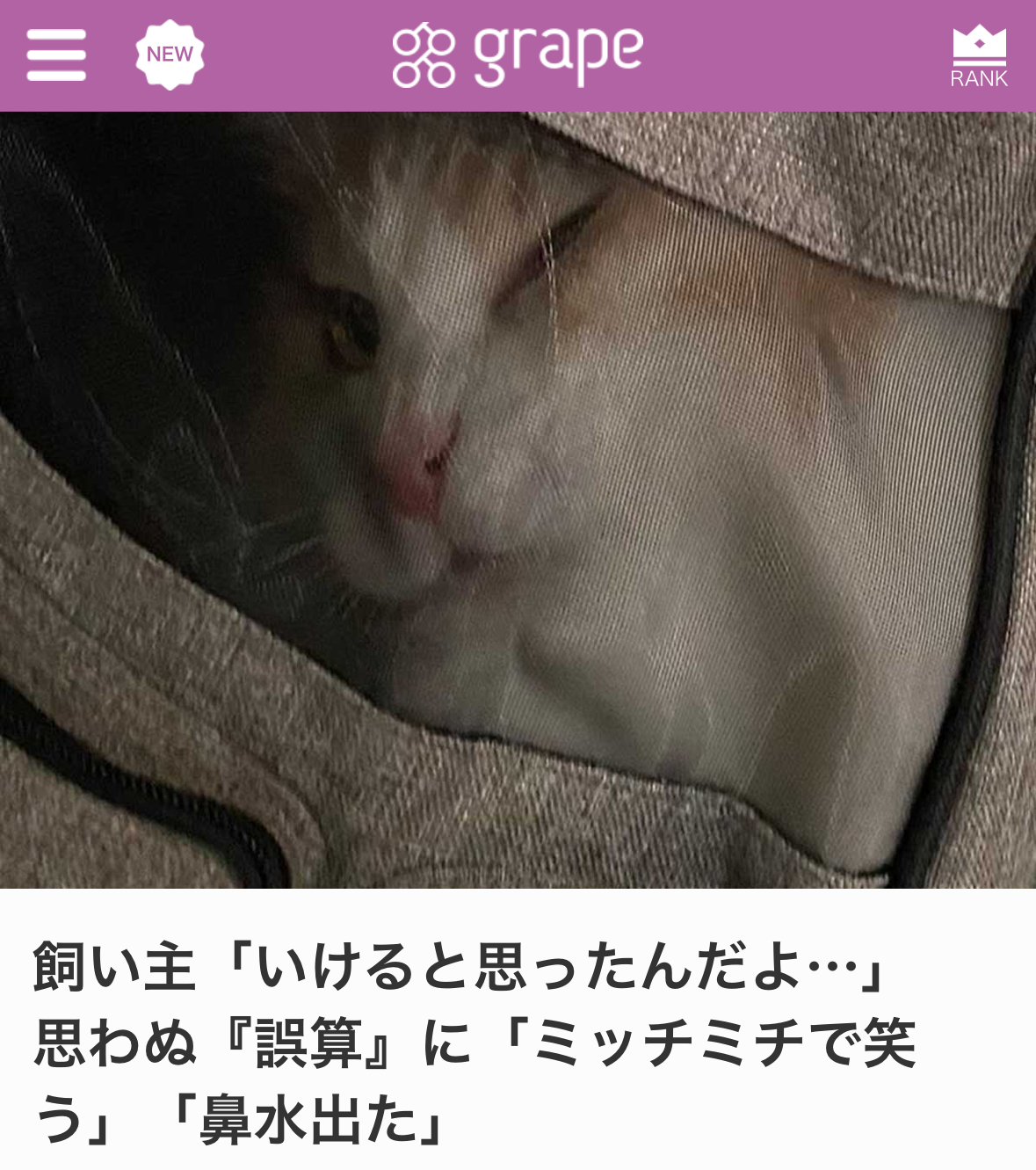 grape(グレイプ)