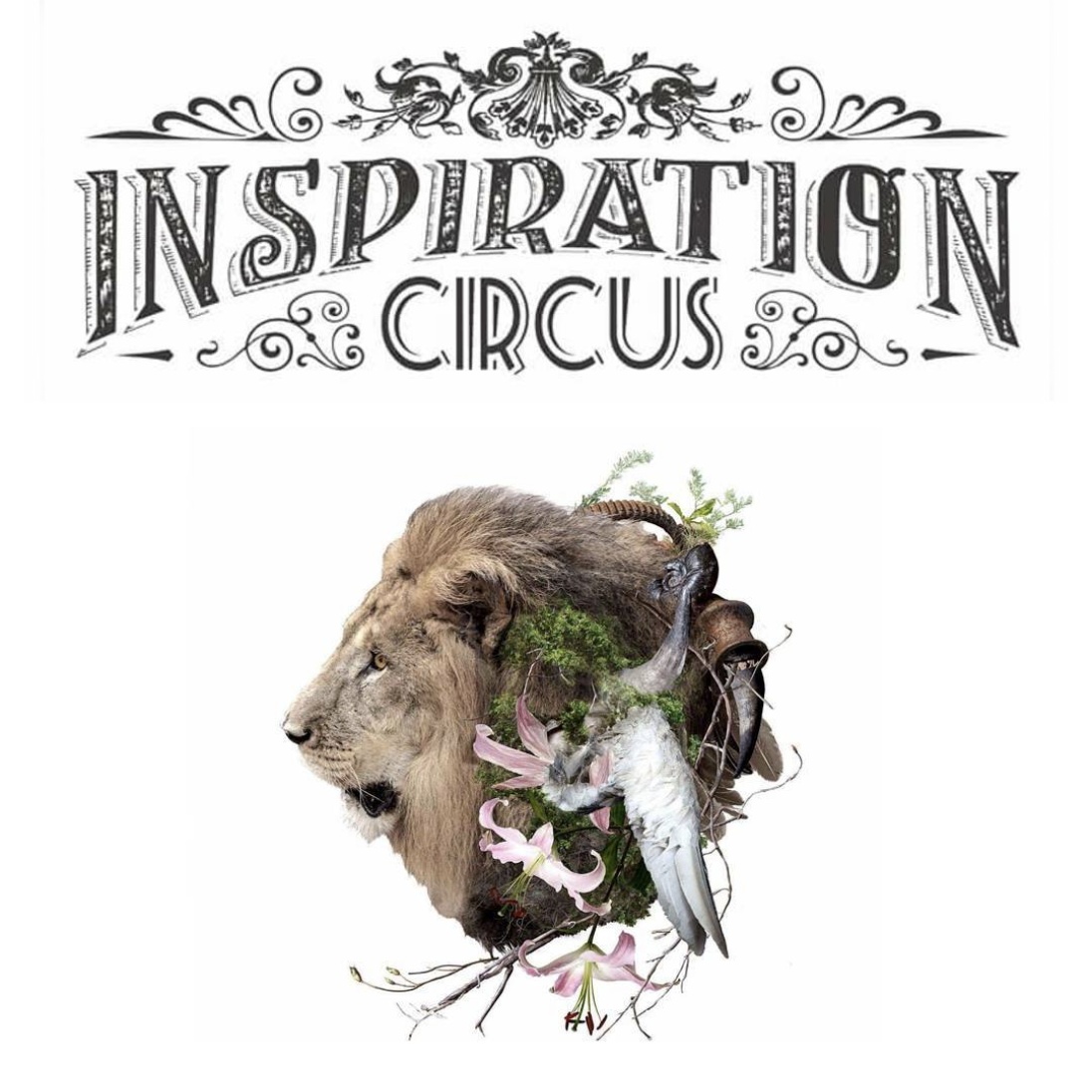 INSPIRATION CIRCUS