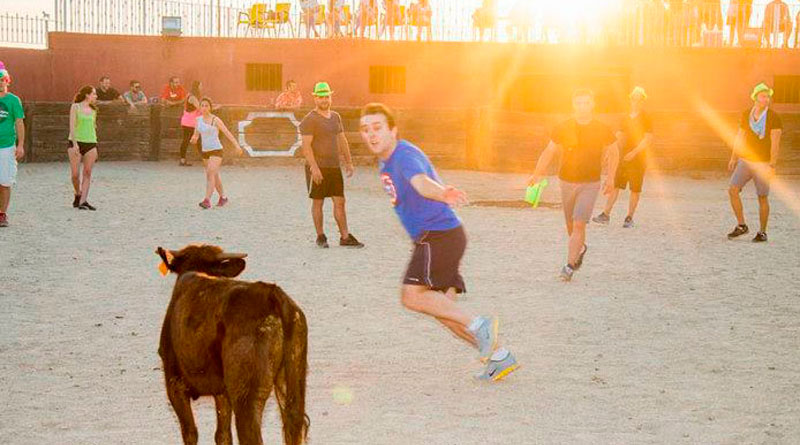 plaza toros madrid