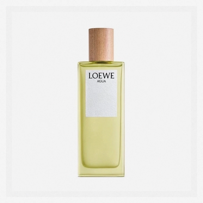 Loewe Agua De Loewe Eau De Toilette 100ml Spray