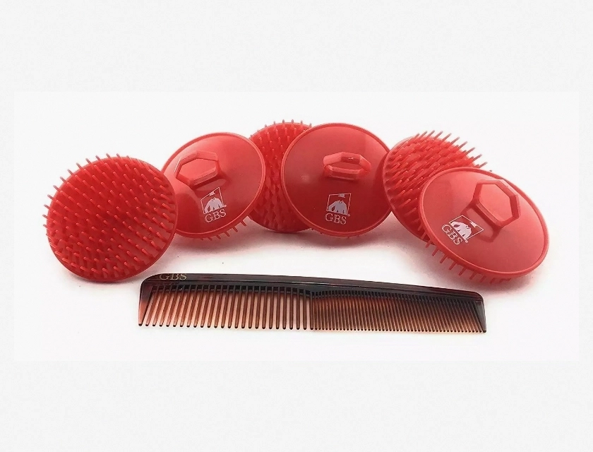 GBS 6-Pack Shampoo Brushes with Dressing Comb for Scalp Massage and Hair Care