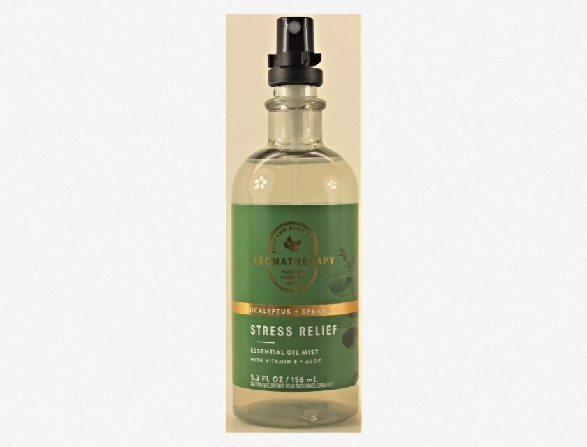 Bath & Body Works Eucalyptus & Spearmint Essential Oils Shower Mist, 5.3 oz
