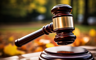 Wisconsin Supreme Court Majority Accused of Aiding Democrats in Jill Stein Ballot Challenge Case