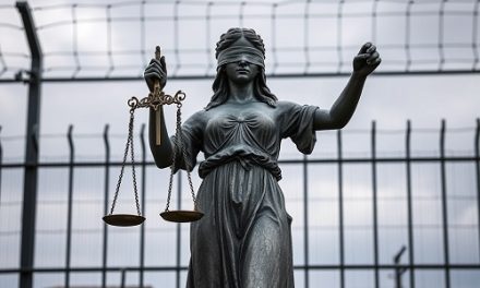 Inmate Files Writ Against Ohio Judge Janet R. Burnside for Delayed Ruling