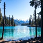 Nevada Judge Mike Johnson Recuses Himself from Mayor Cody Bass Case