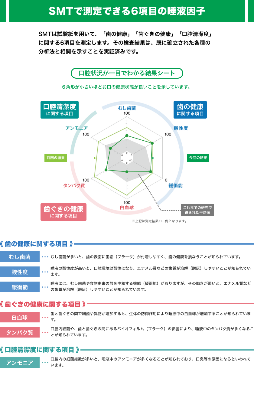 SMTレーダーチャート