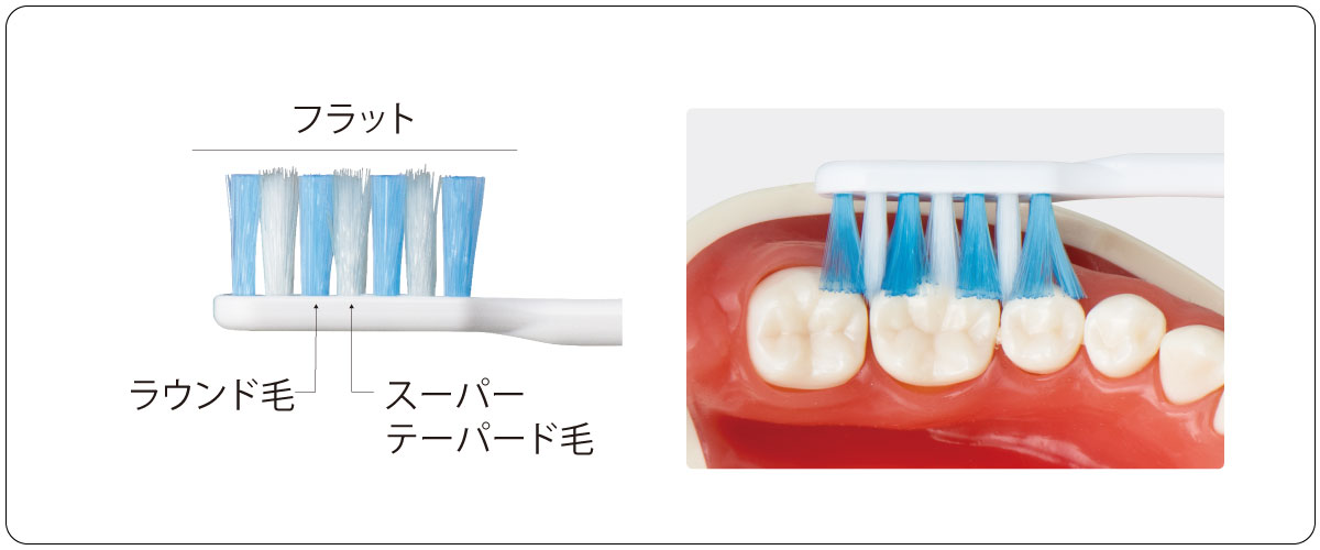 Check-Upから、歯ブラシ standardタイプが新登場!! | Doctorbook