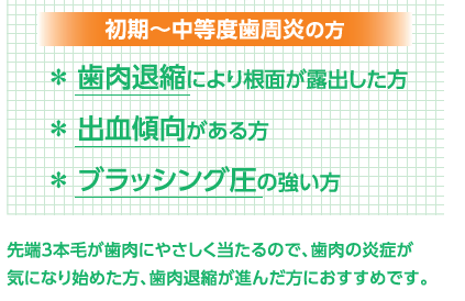 おすすめ1