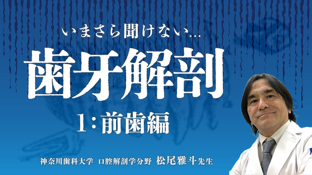 いまさら聞けない歯牙解剖 〜歯周治療に必要な歯根形態〜 1.前歯編