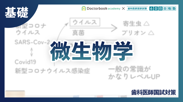 歯科医師国試対策 × 60日合格塾｜動画コース | Doctorbook academy 