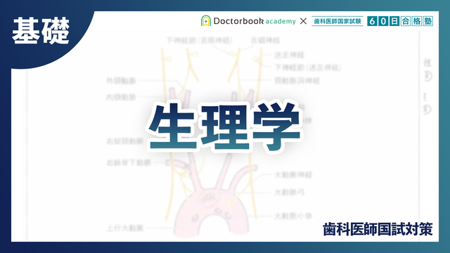 歯科医師国試対策 × 60日合格塾｜動画コース | Doctorbook academy 