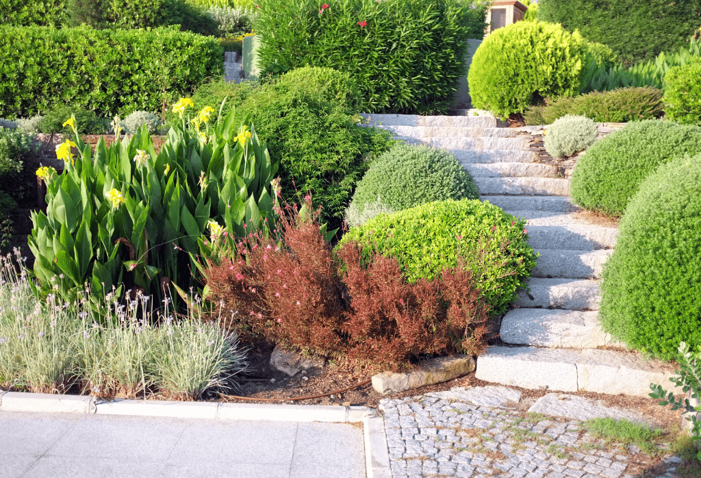 Hometurf Lawn Care Wins 2025 Consumer Choice Award for Lawn Maintenance in Toronto Central