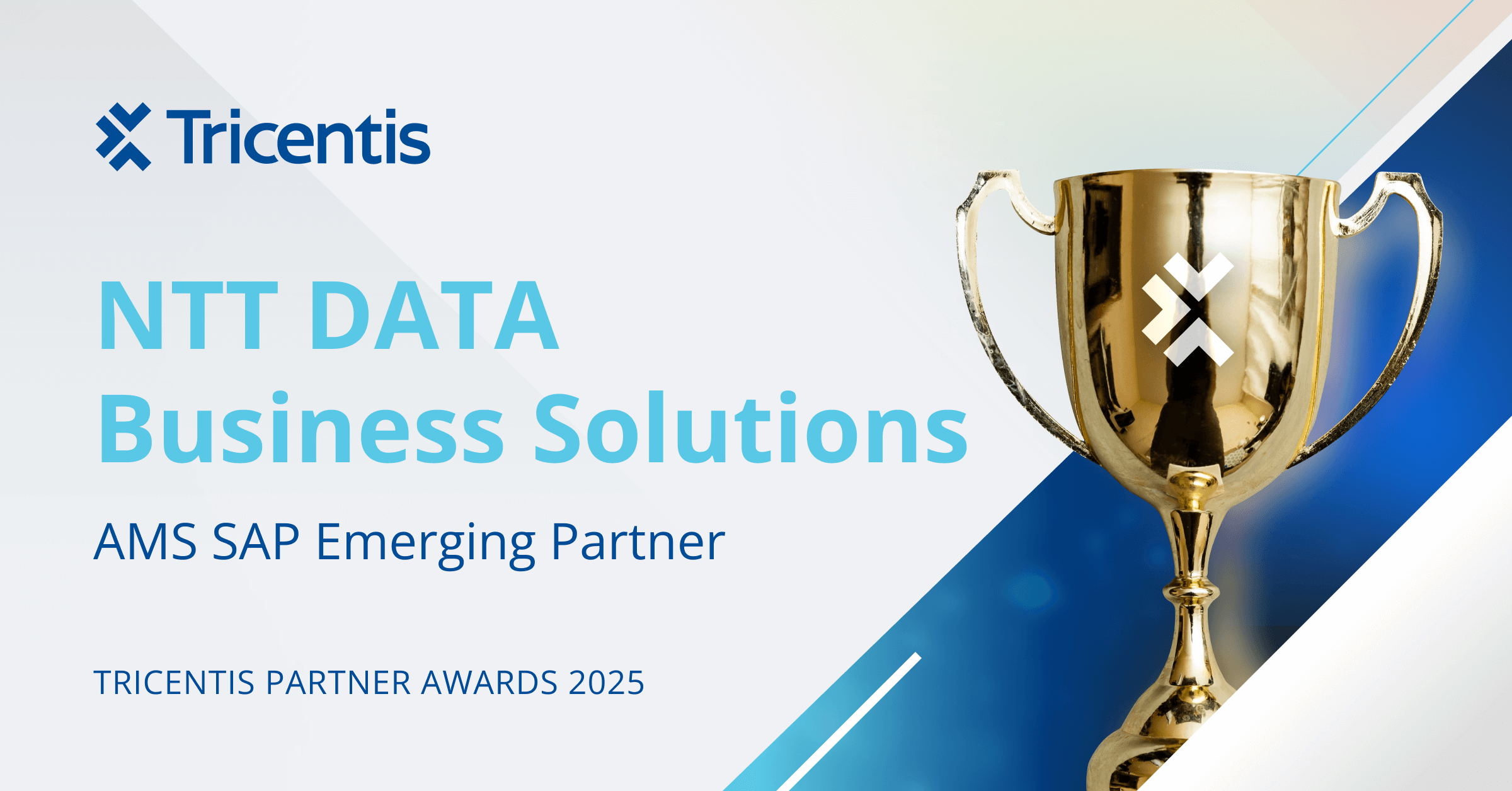 NTT DATA Business Solutions Recognized as AMS SAP Emerging Partner for the Americas in Tricentis Partner Awards 2025