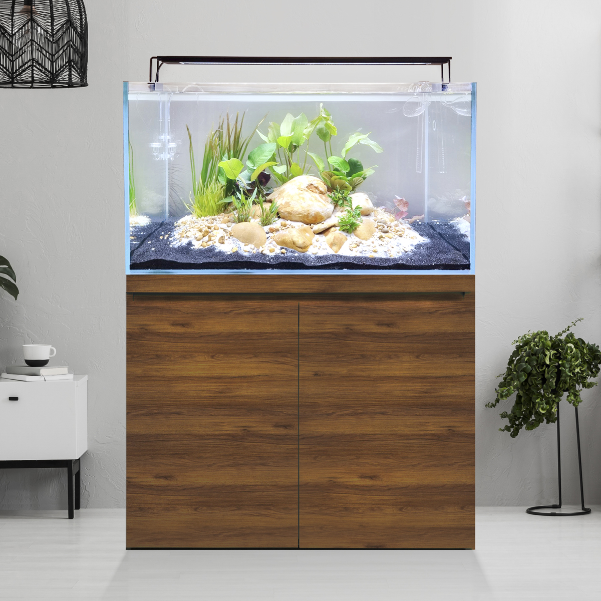 Fluval Celebrates 50 Years of Aquatics Product Innovation